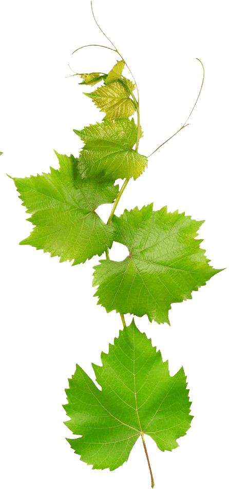 Smart Irrigation Systems