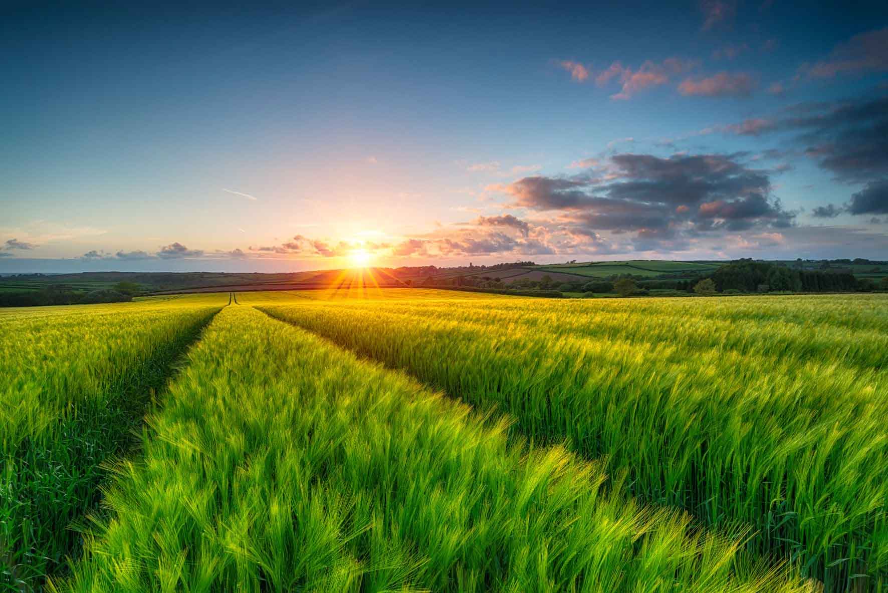 Contact Khedut Irrigation solutions for smart farming systems